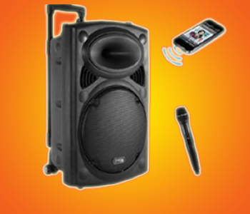 Speaker