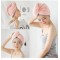 Dry Hair Cap Microfiber Quick Towel Magic Hair Towel Wrap for Women Absorbent Towel