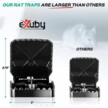 Rat Traps Rat Traps